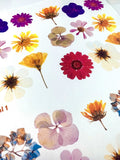 Water Soluble Transfer Paper - Pressed Flower Pattern