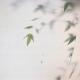 Double Sided Photography Backdrop - Botanical