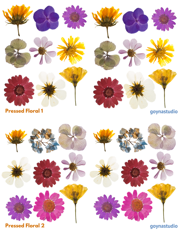 Water Soluble Transfer Paper - Pressed Flower Pattern